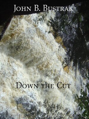 cover image of Down the Cut
